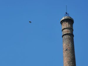 Geschäftsauflösung Kirchberg in Tirol